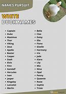 Image result for baby white ducks names