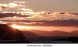 Image result for Isle of Coll Sunrise