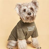 Image result for Clothes for Dogs Product