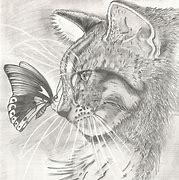 Image result for Cat and Butterfly Painting