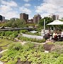 Image result for Green Roof Garden