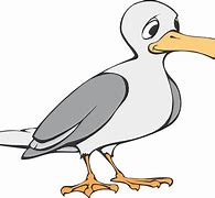 Image result for Seagull Line Drawing