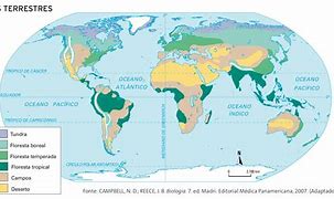 Image result for Mapa De Biomas