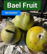 Image result for Bael Fruit Leaves