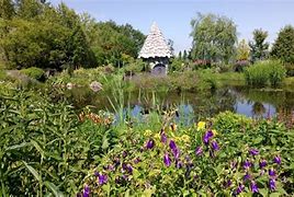 Image result for Explore Ueno Park