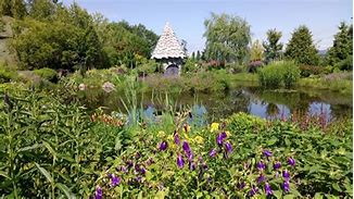 Image result for Ueno Park Banana