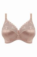 Image result for Bra Size 36N