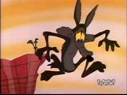 Image result for Wile E. Coyote Cliff