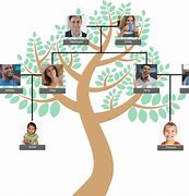 Image result for Family Tree Pretty