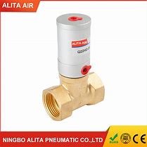 Image result for Neumatic Cut-Off Valve