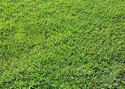 Image result for Background Rumput Game