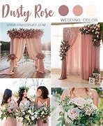 Image result for Dusty Rose Vega