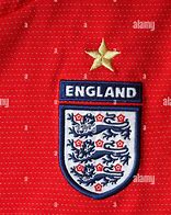 Image result for 3 Lions Badge