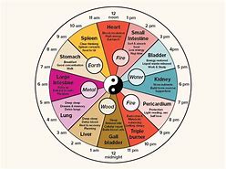 Image result for Qi Organ Cleanse Clock Cycle