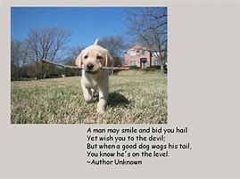 Image result for Dog Jokes for Lovers