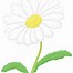 Image result for Simple Daisy Flower Clip Art