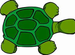 Image result for Turtle Shut Up