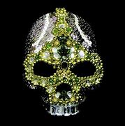 Image result for Skeleton Bling