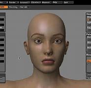 Image result for Body 3D Model Maker