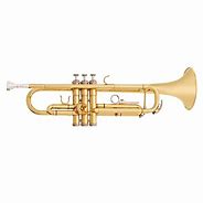 Image result for Trumpet Hat