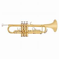 Image result for Crazy Trumpet