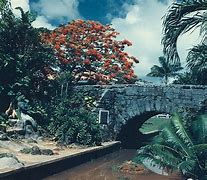 Image result for hagatna guam