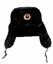 Image result for RUVs Hat