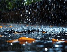 Image result for Pic of Rain