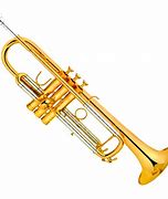 Image result for Trumpet Music Instrument