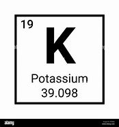 Image result for K+ Ion Symbol