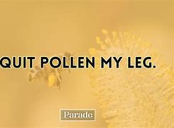 Image result for Weed and Bee Puns