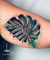 Image result for Planta Monstera Tatuaje