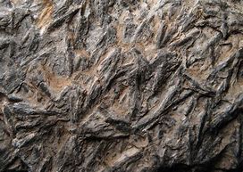 Image result for Schist Disk