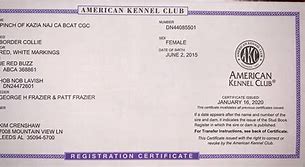 Image result for AKC DNA Certificate