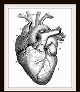 Image result for Sketchy Heart