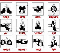 Image result for Togakure Hand Signs