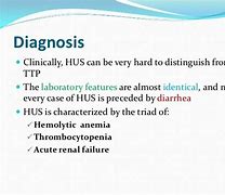 Image result for HUS Hemolytic Uremic Syndrome Triad