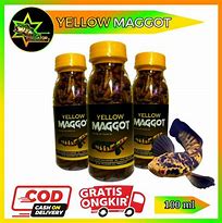 Image result for Kemasan Maggot