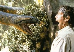 Image result for Best Animal Thriller Movies