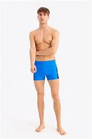 Image result for Retro Swim Trunks