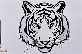 Image result for Easy Draw Tiger