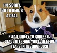 Image result for Dog Attorney Meme