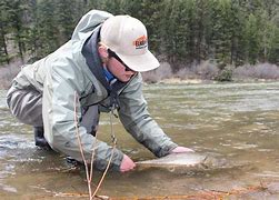 Image result for Fly Fishing Catch