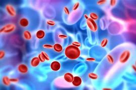 Image result for Blood Stem Cells