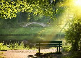 Image result for Life Is so Peaceful