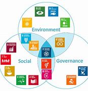 Image result for UN PRI ESG Goals