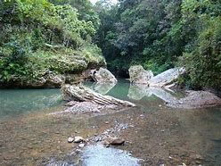 Image result for Puerto Rico Rivers