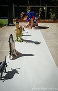 Image result for Shadow Drawing for Kids