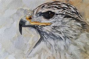 Image result for Hawk Painting