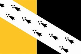 Image result for Newport UK Flag